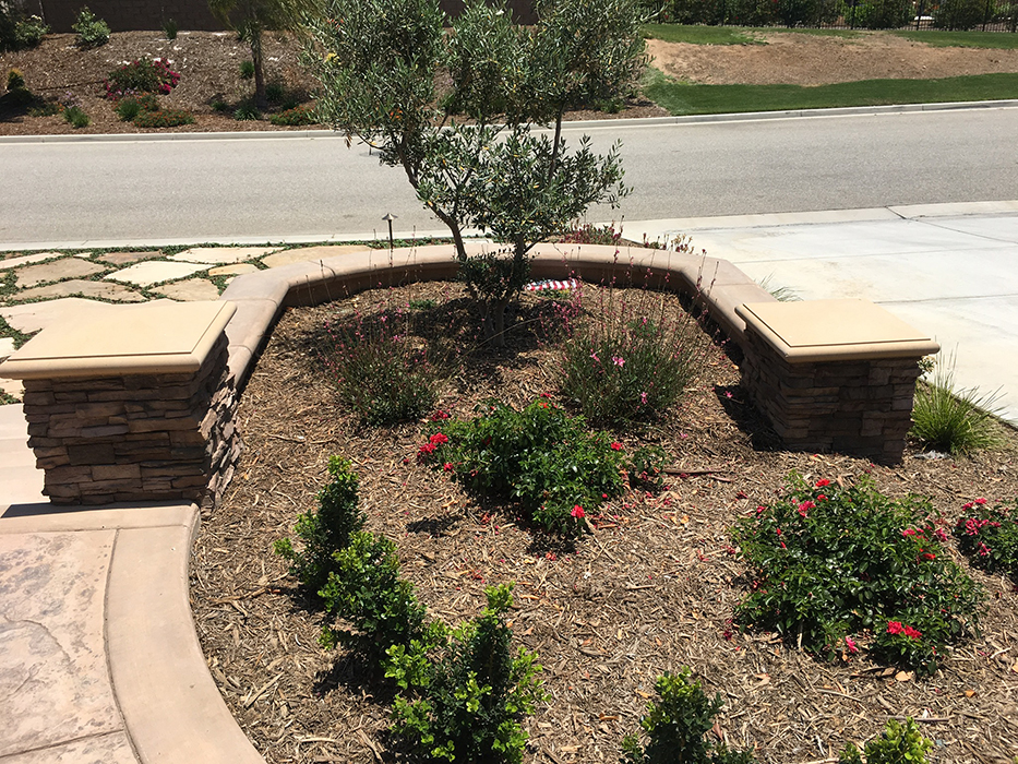 Project Image 011