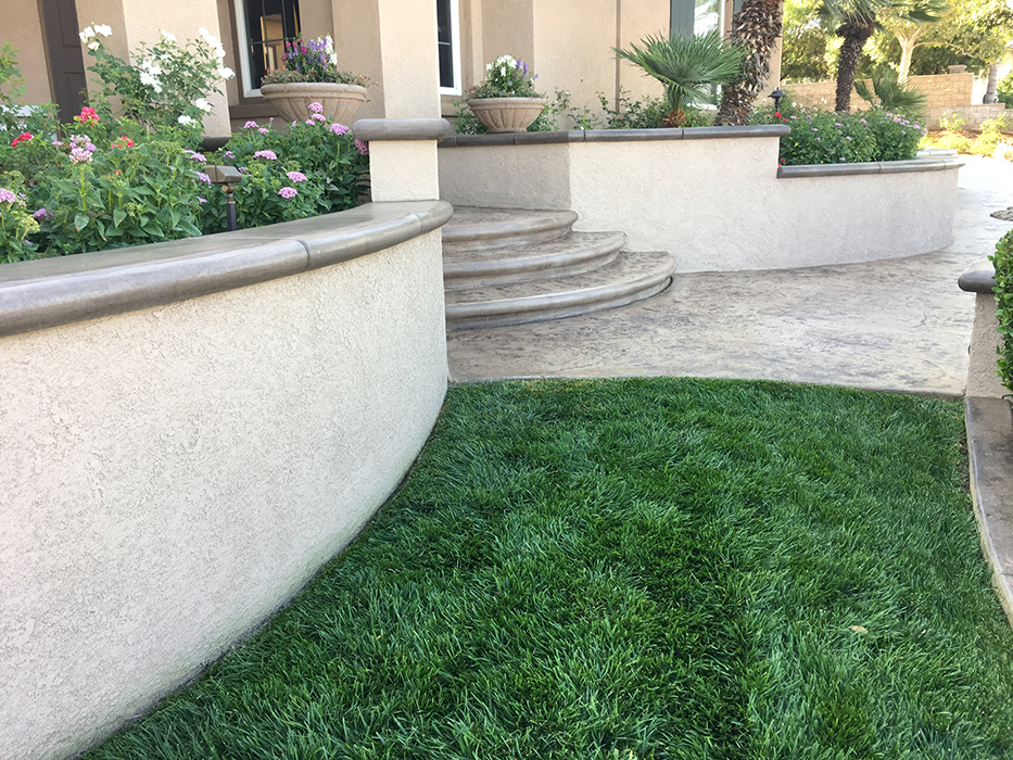 Project Image 009