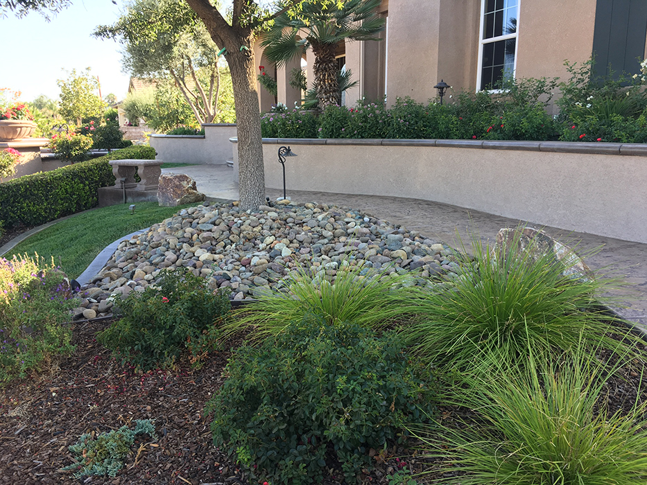 Project Image 017