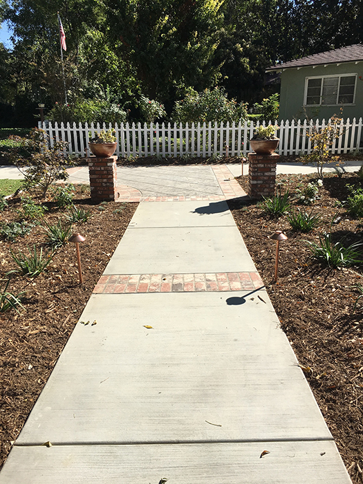 Project Image 008