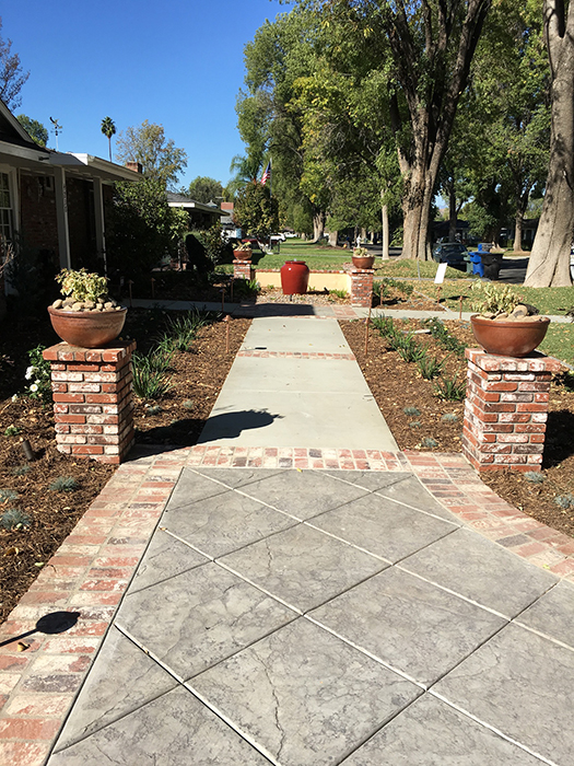 Project Image 011